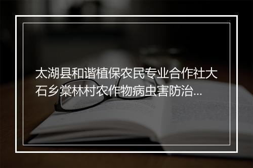 太湖县和谐植保农民专业合作社大石乡棠林村农作物病虫害防治专业队