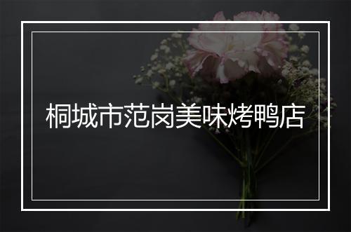 桐城市范岗美味烤鸭店