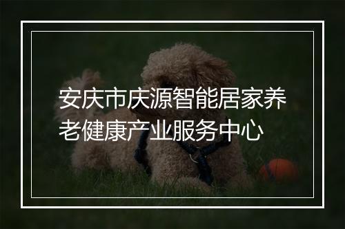 安庆市庆源智能居家养老健康产业服务中心