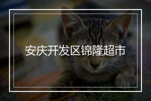 安庆开发区锦隆超市