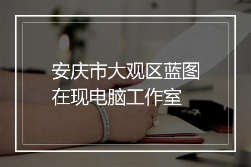 安庆市大观区蓝图在现电脑工作室
