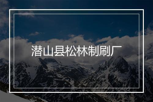 潜山县松林制刷厂