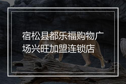 宿松县都乐福购物广场兴旺加盟连锁店