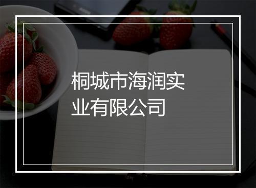 桐城市海润实业有限公司