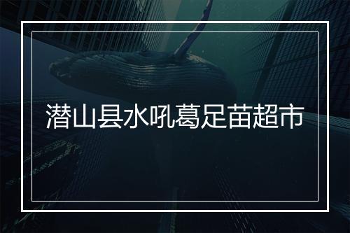 潜山县水吼葛足苗超市