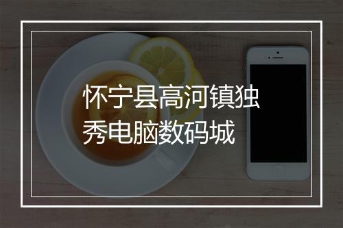 怀宁县高河镇独秀电脑数码城