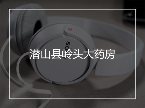 潜山县岭头大药房