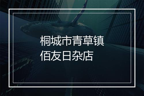 桐城市青草镇佰友日杂店