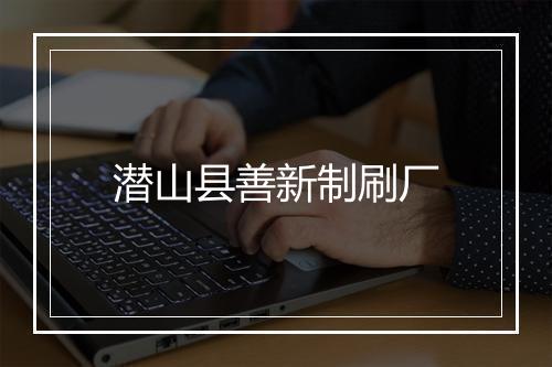 潜山县善新制刷厂