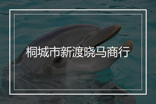 桐城市新渡晓马商行
