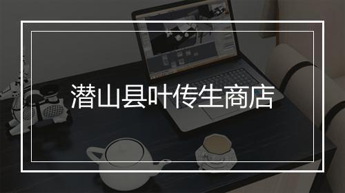 潜山县叶传生商店
