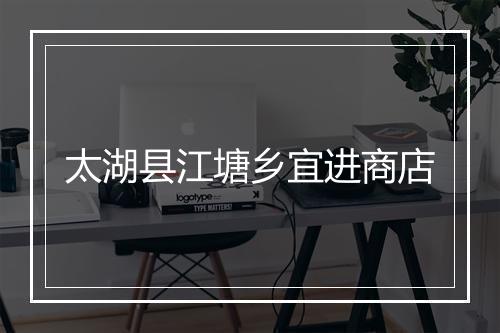 太湖县江塘乡宜进商店