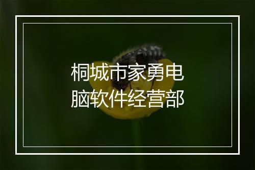 桐城市家勇电脑软件经营部