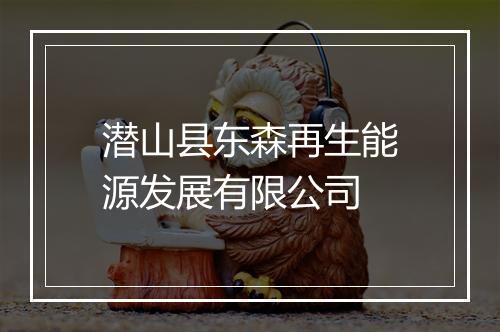 潜山县东森再生能源发展有限公司