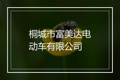 桐城市富美达电动车有限公司