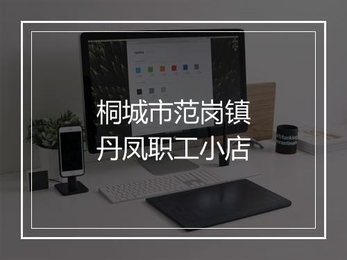 桐城市范岗镇丹凤职工小店