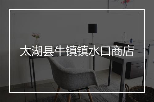 太湖县牛镇镇水口商店