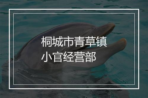 桐城市青草镇小官经营部