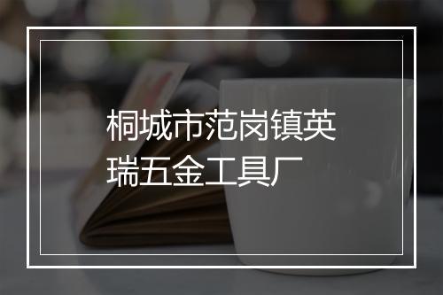 桐城市范岗镇英瑞五金工具厂