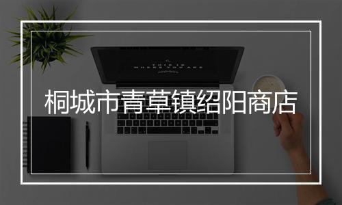 桐城市青草镇绍阳商店
