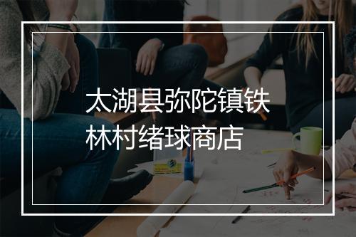 太湖县弥陀镇铁林村绪球商店