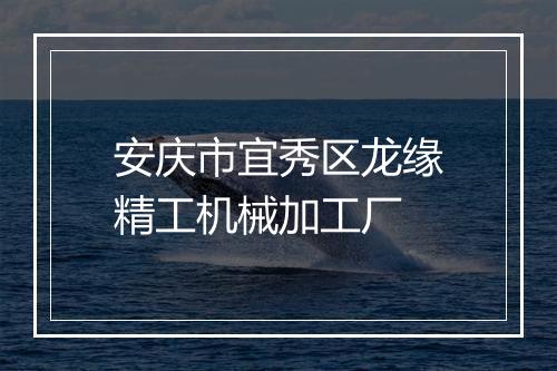 安庆市宜秀区龙缘精工机械加工厂
