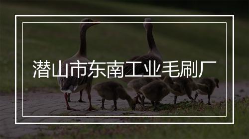 潜山市东南工业毛刷厂