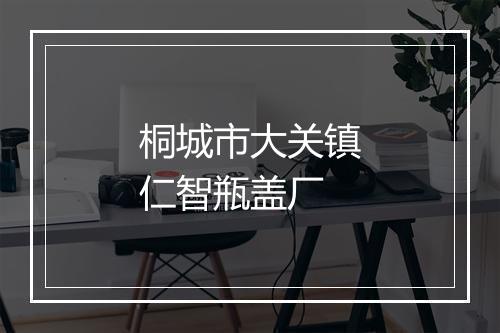 桐城市大关镇仁智瓶盖厂