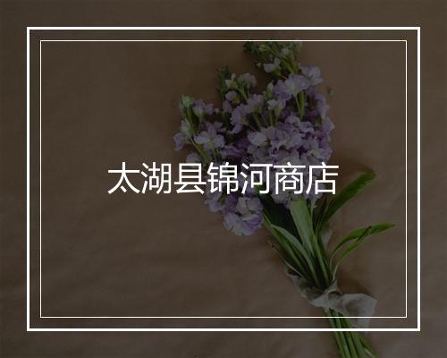 太湖县锦河商店