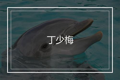 丁少梅