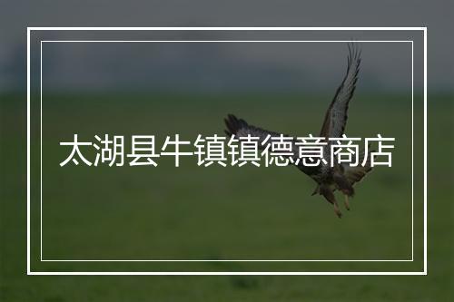 太湖县牛镇镇德意商店