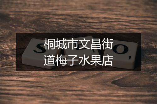 桐城市文昌街道梅子水果店