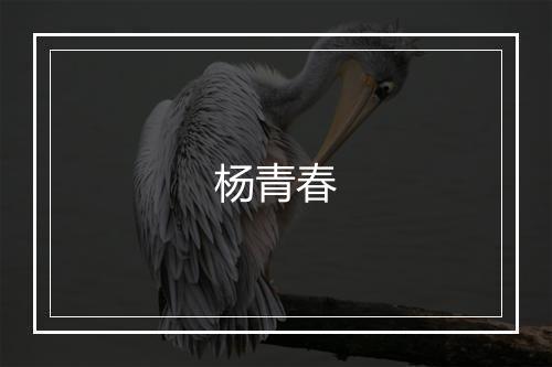 杨青春