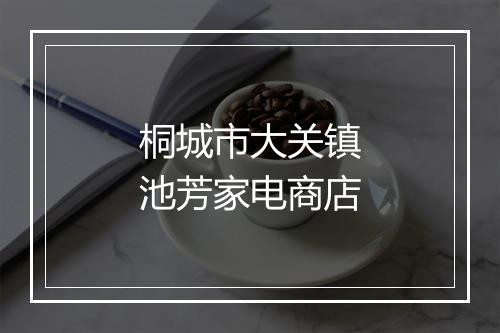 桐城市大关镇池芳家电商店