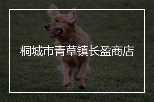 桐城市青草镇长盈商店