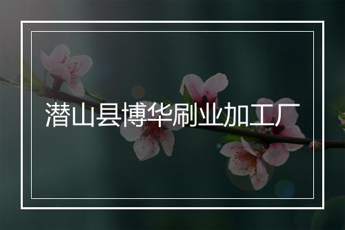 潜山县博华刷业加工厂