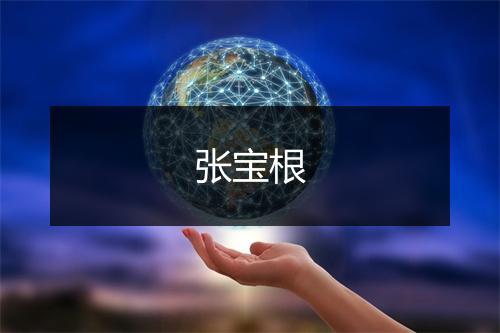 张宝根