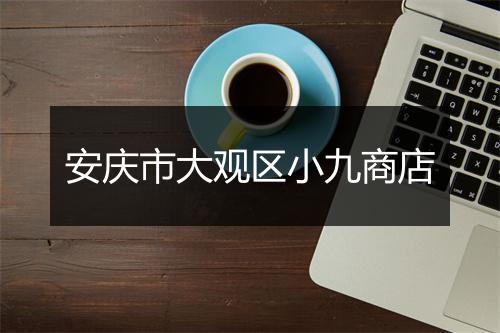 安庆市大观区小九商店