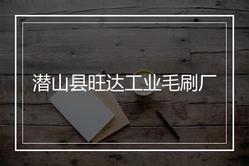 潜山县旺达工业毛刷厂