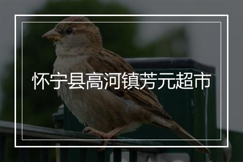 怀宁县高河镇芳元超市