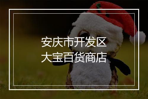 安庆市开发区大宝百货商店