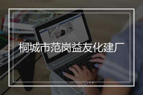 桐城市范岗益友化建厂