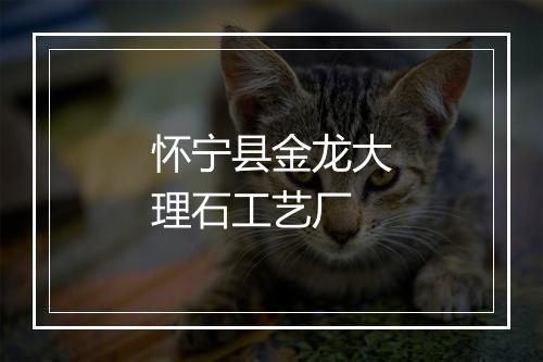 怀宁县金龙大理石工艺厂