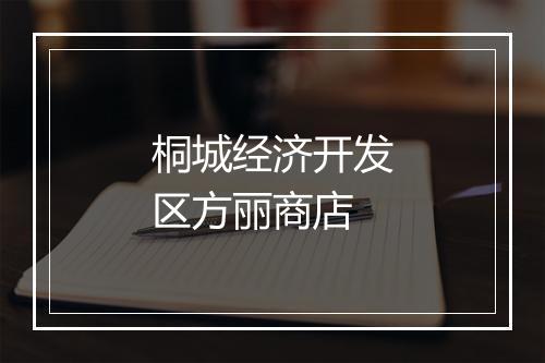 桐城经济开发区方丽商店