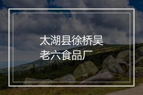太湖县徐桥吴老六食品厂