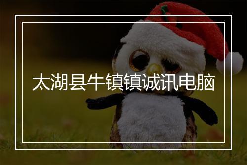 太湖县牛镇镇诚讯电脑