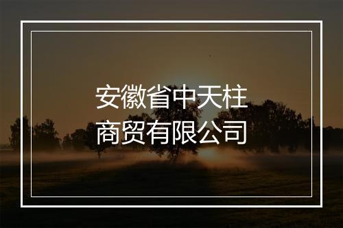 安徽省中天柱商贸有限公司