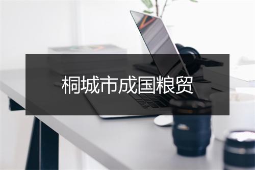 桐城市成国粮贸