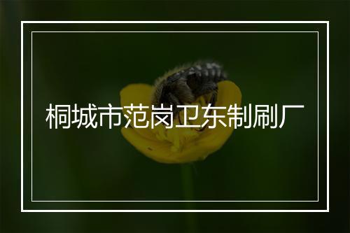桐城市范岗卫东制刷厂