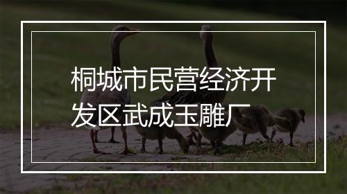 桐城市民营经济开发区武成玉雕厂